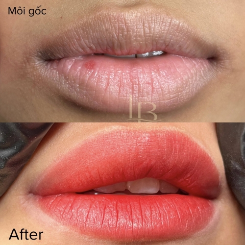 PHUN MÔI CHÂU ÂU CAO CẤP TẠI LUXURY BROWS